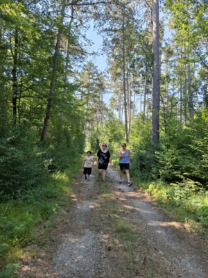 Spazieren im Föhrenwald Spazieren im Föhrenwald