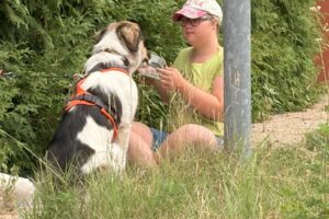 IMG_0411 IMG_0411