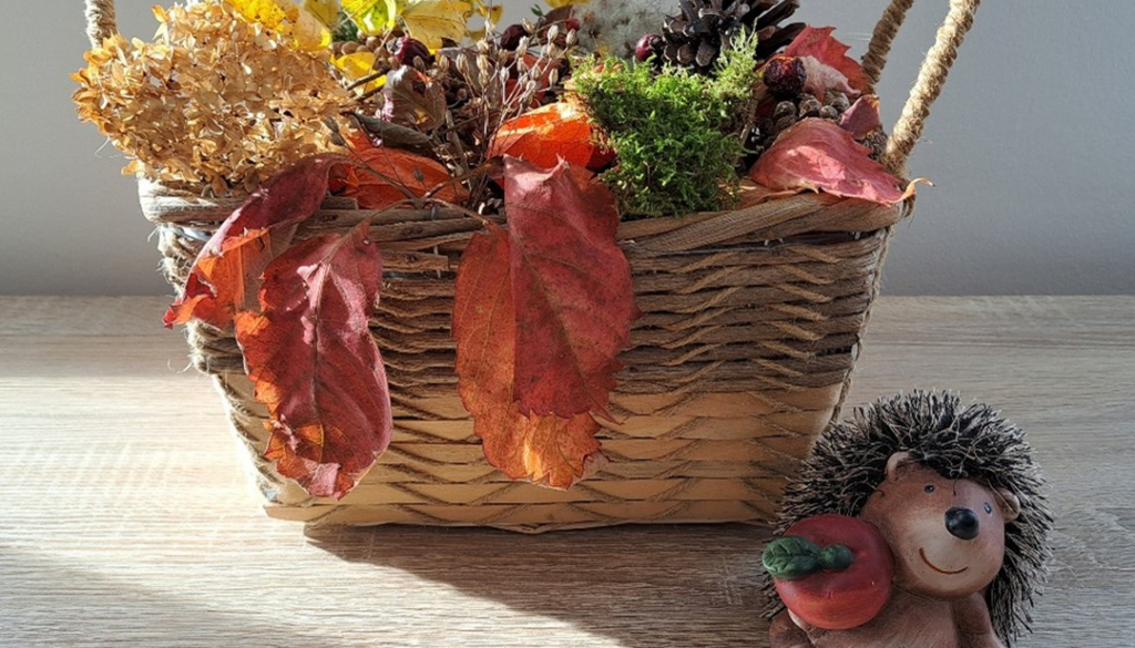 den Herbst entdecken