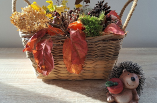 den Herbst entdecken
