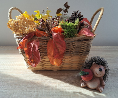 den Herbst entdecken